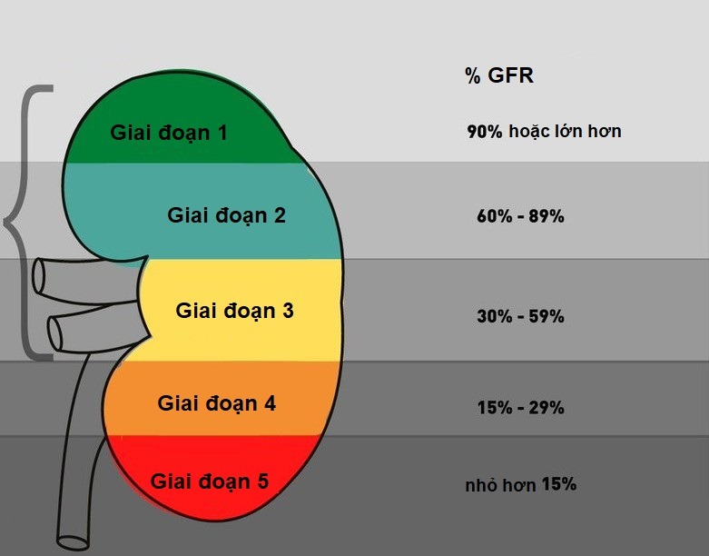 chi-so-e-gfr-thap-duoi-60-canh-bao-dieu-gi.jpg