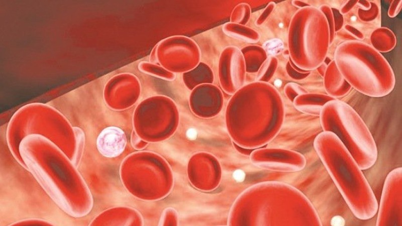 chi-so-huyet-sac-to-cao-phai-lam-gi 1.jpg