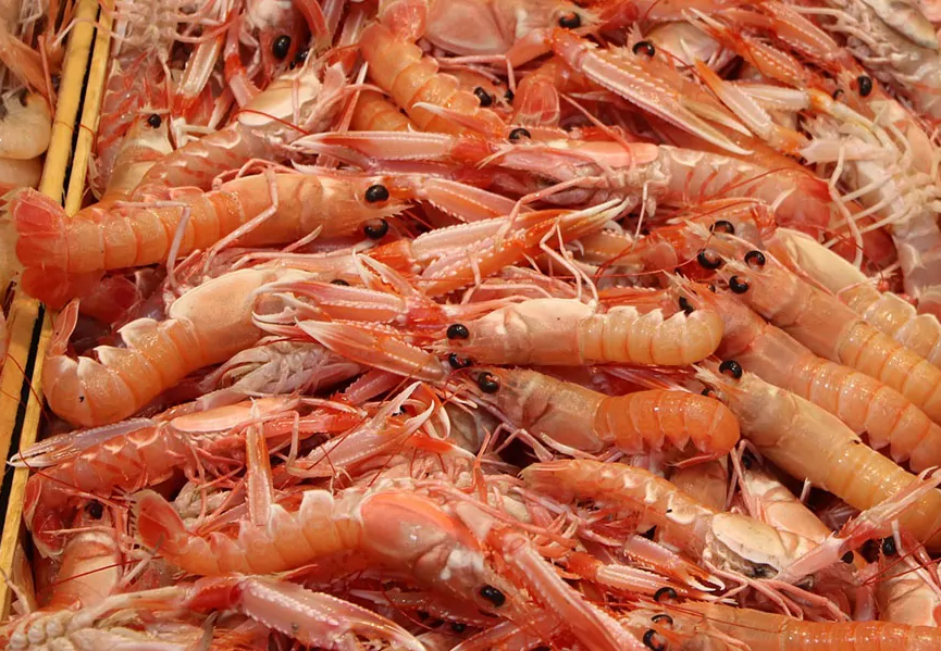 Chitosan là gì? Công dụng của Chitosan đối với làn da.1