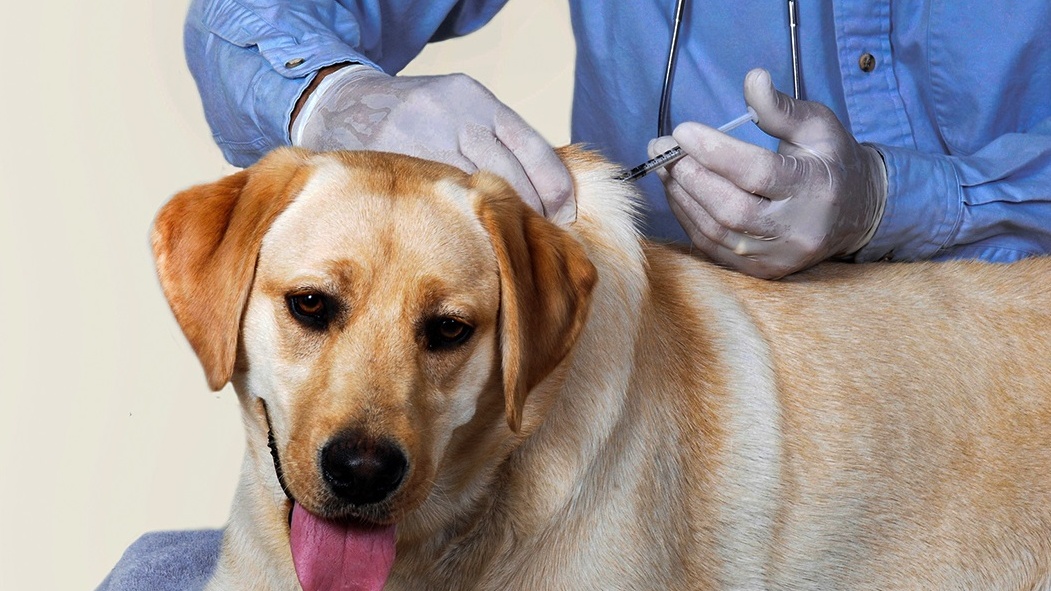 nhathuoclongchau.com.vn