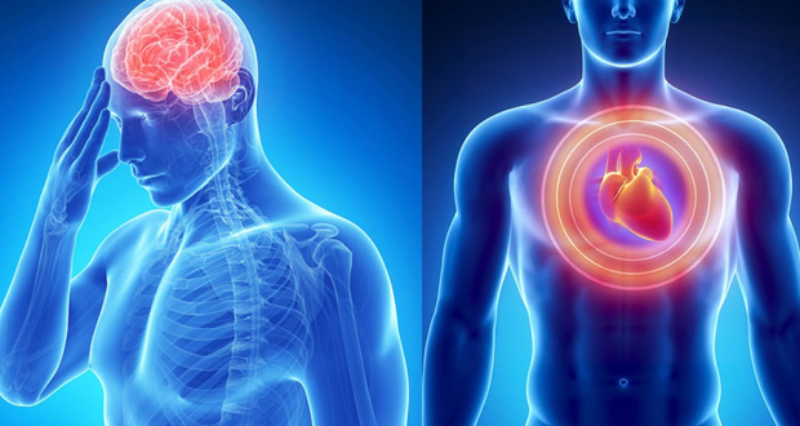 Chu kì hoạt động của tim và các bệnh liên quan cần biết 2