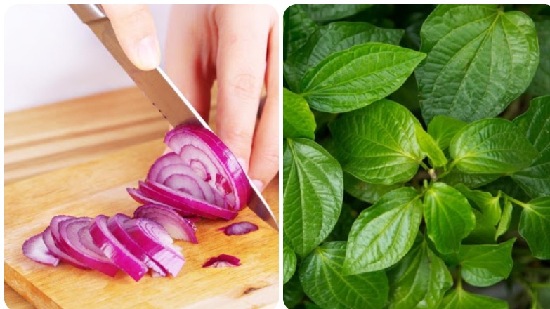 Gợi ý cách chữa yếu sinh lý bằng lá lốt cho phái mạnh 3