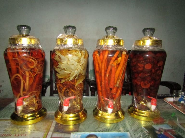 Chữa yếu sinh lý bằng rễ cau có an toàn và hiệu quả không? 2