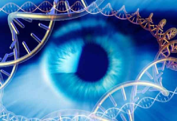 Chứng mù bẩm sinh Leber: Triệu chứng, nguyên nhân, biện pháp chẩn đoán và điều trị 2