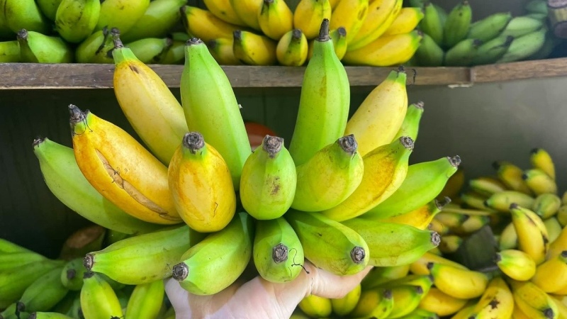 chuoi-cau-bao-nhieu-calo-loi-ich-suc-khoe-cua-chuoi-cau 1.jpg