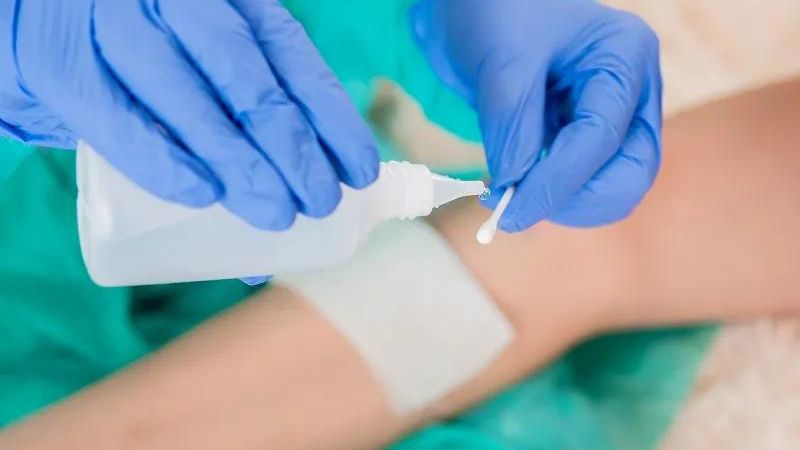 Chuột hamster có cắn không và lưu ý khi tiếp xúc với chuột hamster 2