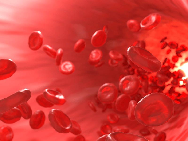 co-che-tac-dung-cua-thuoc-me-dang-ngui 3.jpg