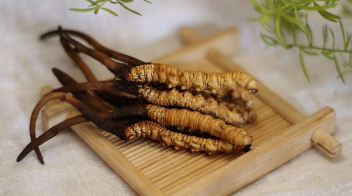 co-nen-uong-dong-trung-ha-thao-thuong-xuyen-khong 1.jpg