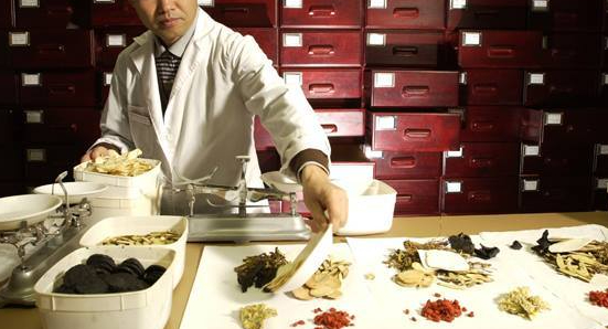 Có những loại cây thuốc nam chữa bệnh gan nào? 6