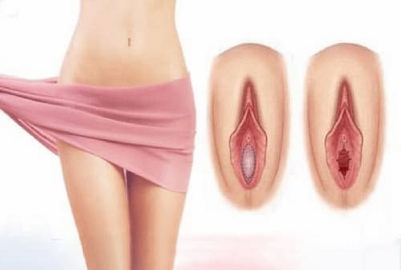 Cơ quan sinh dục nữ là gì? Cấu tạo, chức năng cơ quan sinh dục nữ 3