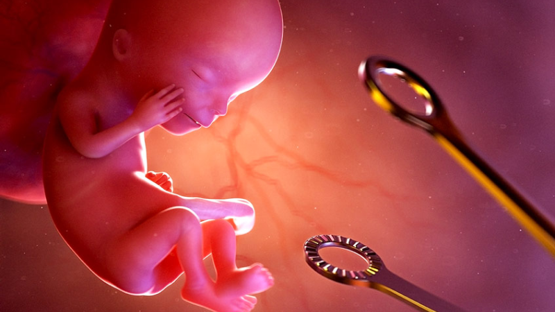 Có thai ngoài ý muốn phải làm sao? Những cách xử trí 3