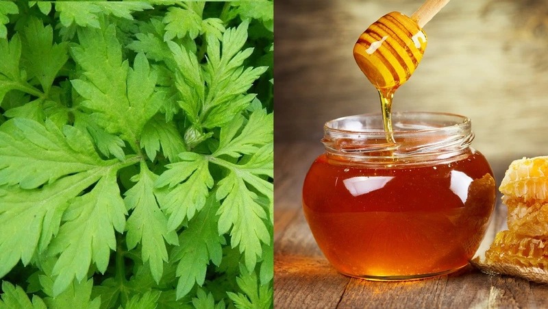 Công dụng chữa đau xương khớp bằng lá ngải cứu