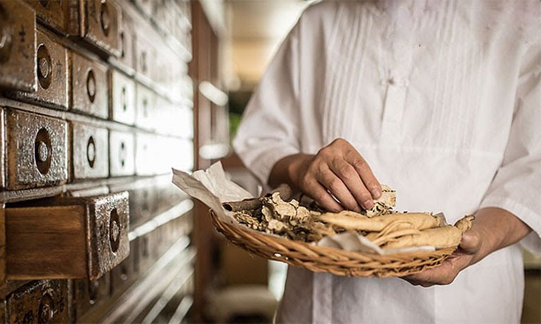 Công dụng của cây san sư cô là gì? 3