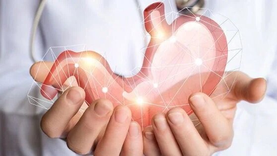 cong-dung-cua-hanh-baro-doi-voi-suc-khoe 3.jpg