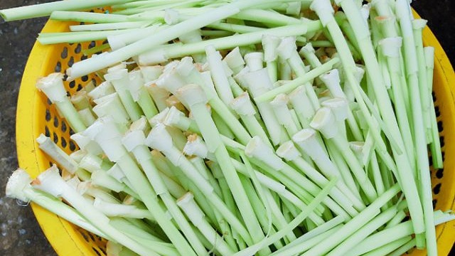 Công dụng của bồn bồn là gì? Bà bầu ăn rau bồn bồn được không? - Nhà ...