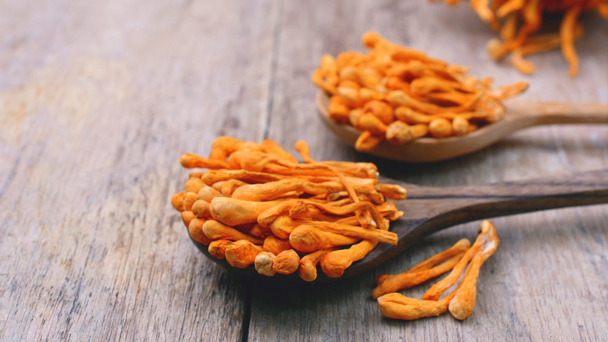 Cordycepin là gì? Công dụng của Cordycepin đối với sức khỏe? 1
