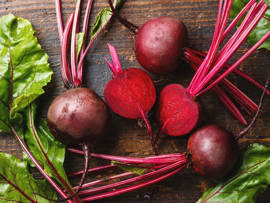 Củ cải đường là dược liệu