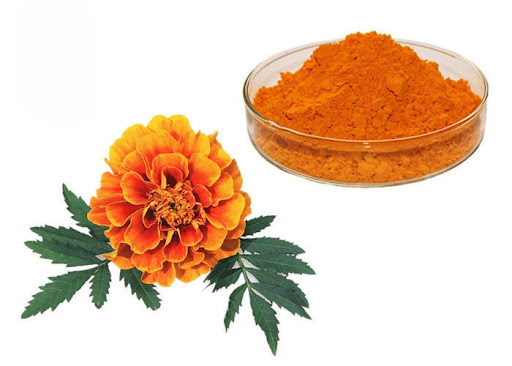 Marigold là gì? Công dụng của Marigold làm dịu da-2