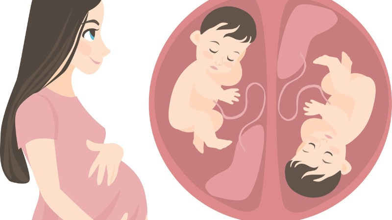 Đa thai là gì và các triệu chứng thường gặp 1