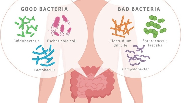 Đạm thủy phân từ men bia: Tạm biệt nỗi lo không dung nạp 3.1.jpg