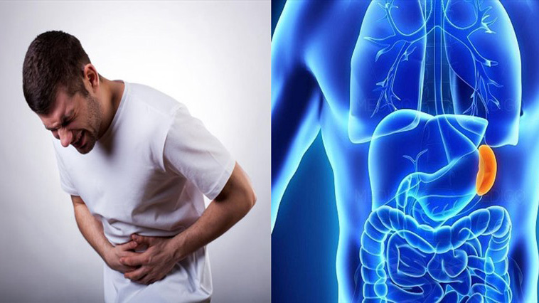 Dập lá lách bao lâu thì lành? 1