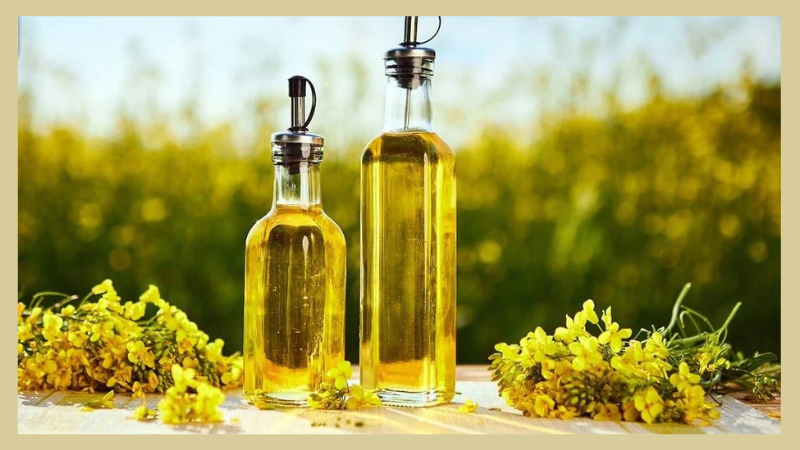 Dầu ăn nào tốt cho sức khỏe? Một số lưu ý khi sử dụng dầu ăn 3