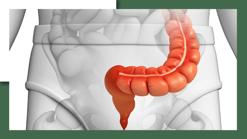 Đau bụng bên trái: Những nguyên nhân thường gặp và cách xử lý 6