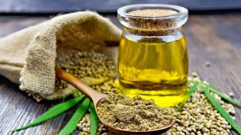 Dầu cây rum có tác dụng gì? Những lưu ý cần nhớ khi sử dụng 1