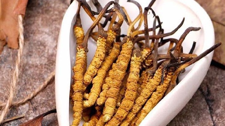 Đau dạ dày uống đông trùng hạ thảo được không? 2