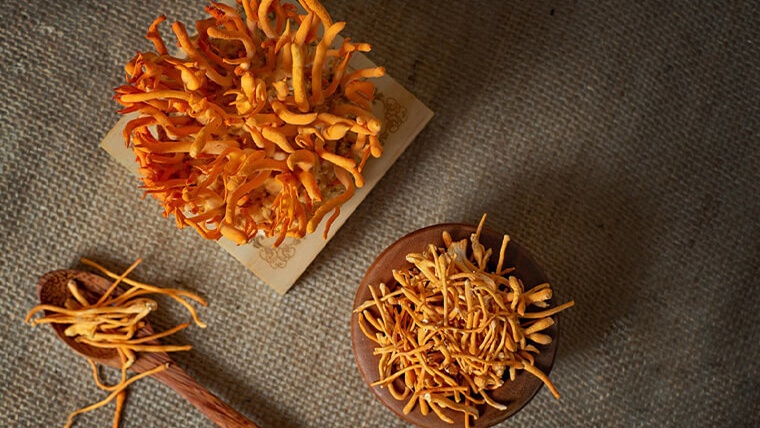 Đau dạ dày uống đông trùng hạ thảo được không? 1