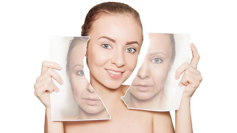 Dâu đen: Thành phần dinh dưỡng, công dụng đối với sức khỏe 3