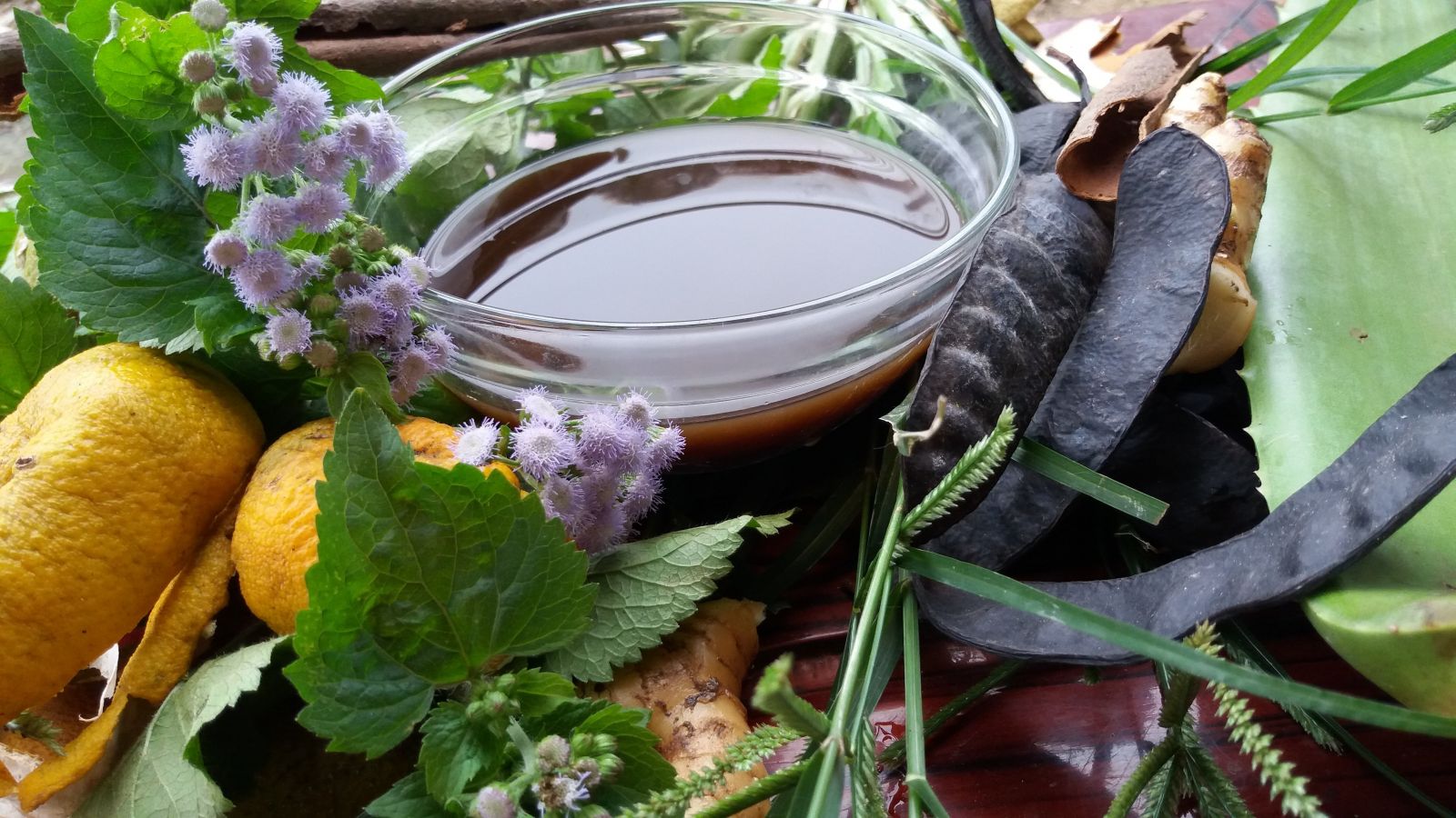 Hương nhu trắng làm dầu gội