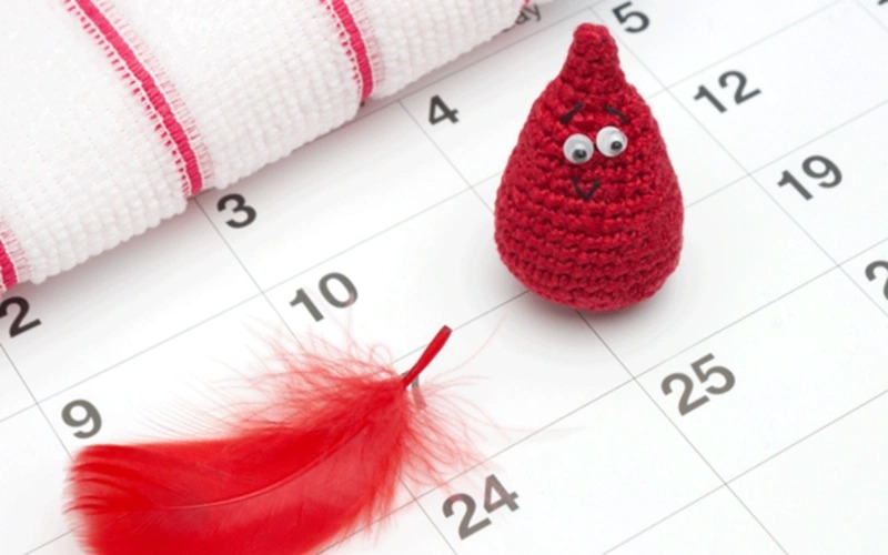 Dấu hiệu dậy thì ở nữ giới ở sự phát triển của thể chất và tinh thần 2