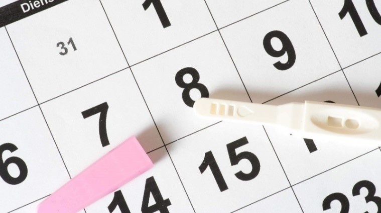 dau-hieu-sap-rung-trung-ma-ban-nen-biet 4