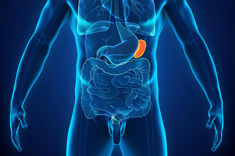 Đau lá lách: Nguyên nhân và hướng điều trị hiệu quả 2