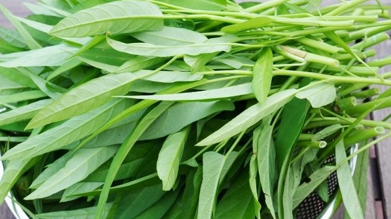 Đau mắt đỏ kiêng những gì để mau khỏi? Những điều cần biết 2