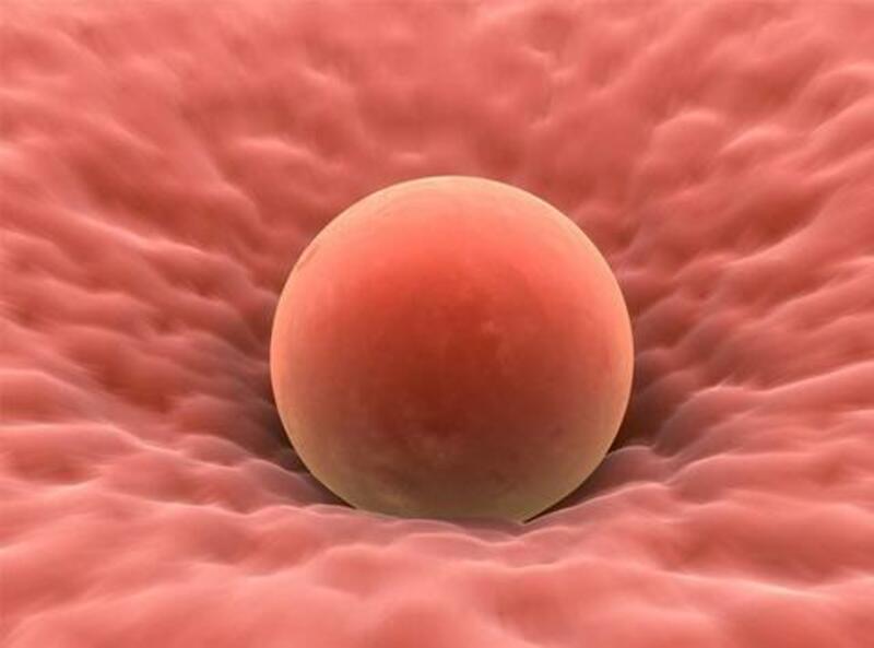 Để phòng ngừa vô sinh, phụ nữ có trứng lép nên ăn gì? 1