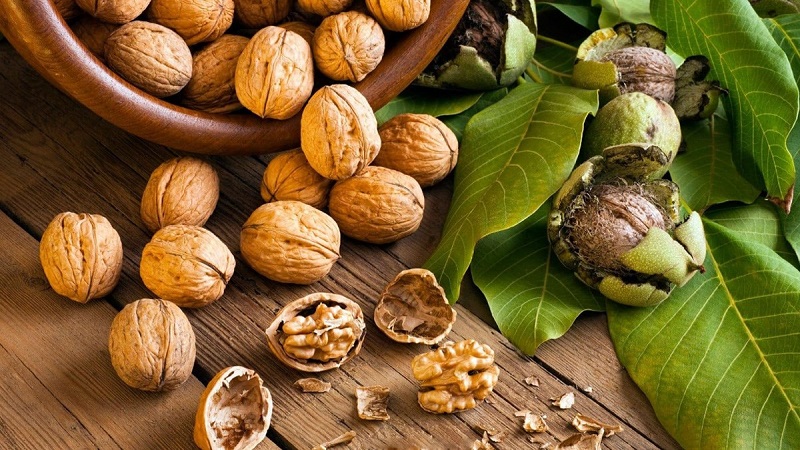 Điểm danh các loại thực vật giàu omega tốt cho sức khỏe con người 5