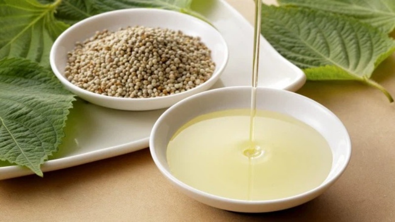 Điểm danh các loại thực vật giàu omega tốt cho sức khỏe con người 7