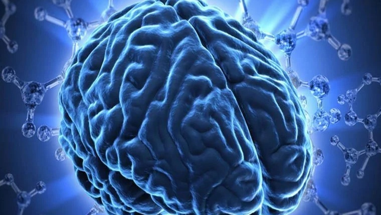 Điện thế gợi thị giác là gì? Ứng dụng của điện thế gợi thị giác 1