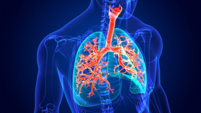 do-chuc-nang-ho-hap-duoc-chi-dinh-khi-nao 2.jpg