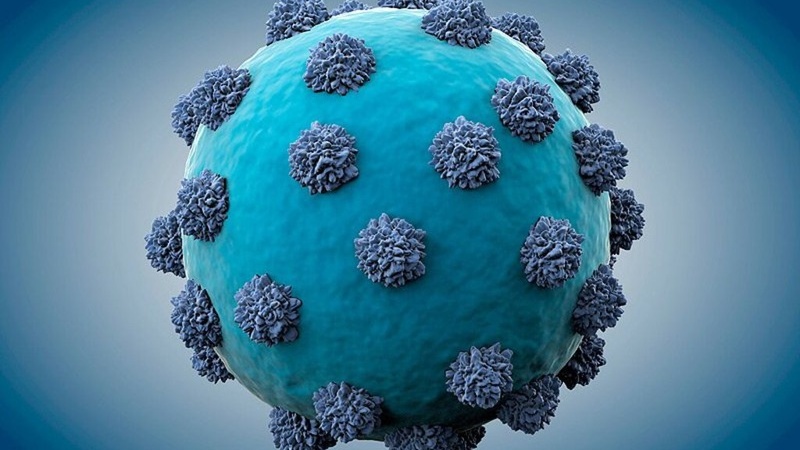 Độc tố là gì? Bật mí cách thải độc cho cơ thể không phải ai cũng biết 1