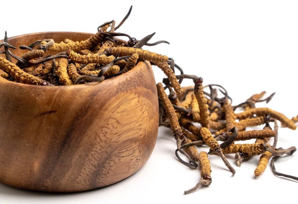 Đông trùng hạ thảo giá bao nhiêu 1kg? Có mấy loại?