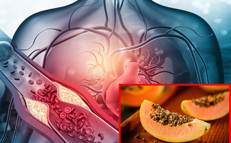 Đu đủ và lợi ích mà nó mang lại