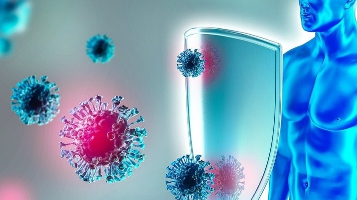 Dưa Pepino: Khám phá lợi ích sức khỏe và dinh dưỡng 2