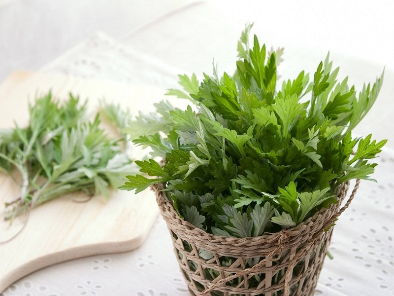 Dùng các loại rễ cây ngâm rượu: Lợi hay hại? 6