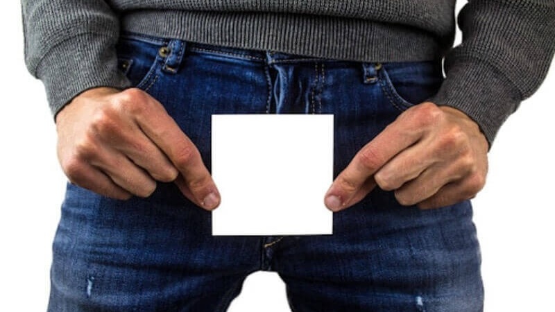 Dương vật có xương không? Cấu tạo của dương vật 1