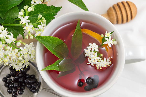 Elderberry là gì? Vai trò của Elderberry đối với sức khỏe