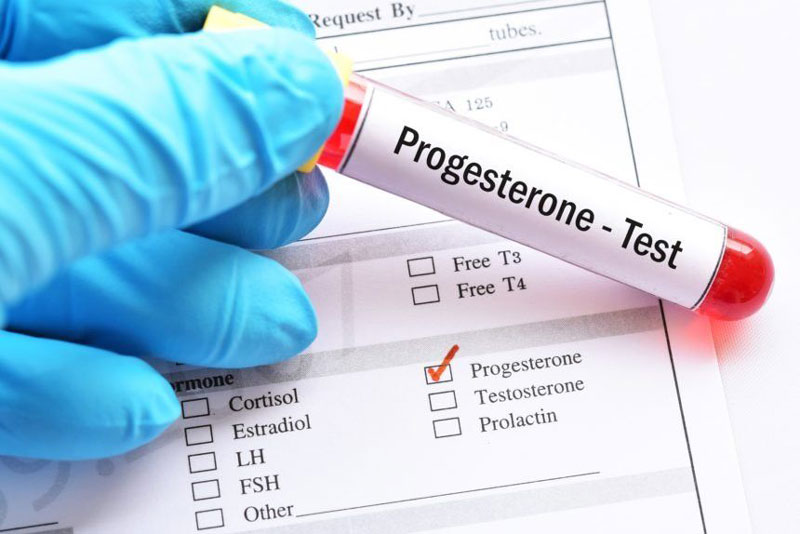 Estrogen và progesterone là gì? Vai trò của estrogen và progesterone đối với sức khỏe phụ nữ 2