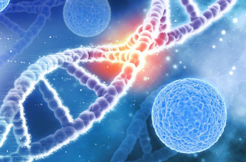 Ex Vivo là gì? Những thông tin về nuôi cấy ngoại cơ thể 1